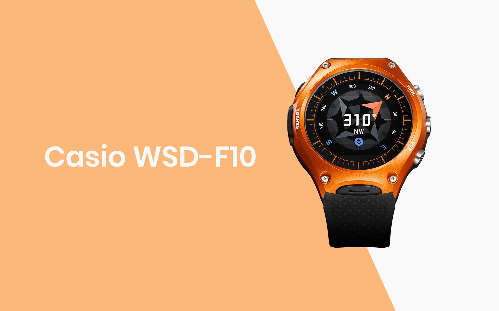 Casio WSD-F10